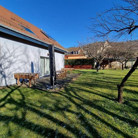 Le Gite De Cleo, Maison Spacieuse Et Paisible. Metzeral Eksteriør bilde